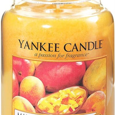 Yankee Candle Mango Peach Salsa Large Jar