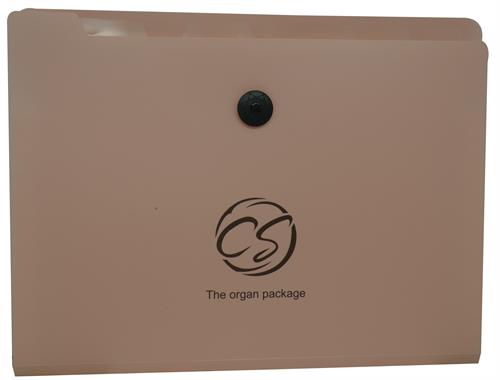 Brainware 8 Compartment Expanding File Organiser Pink